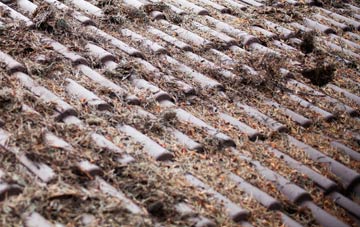 West Pelton roof cleaning companies